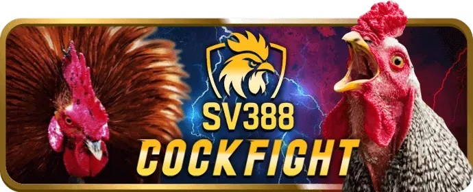 Hoàn trả cược đá gà hàng tuần 138bet